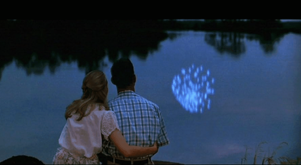 Jenny with her arm around Forrest as they enjoy watching the fireworks which are reflected in the lake.