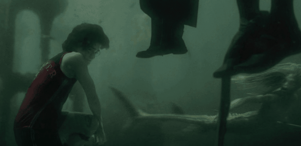 Harry trying to save more than one friend under the water of the Black Lake.