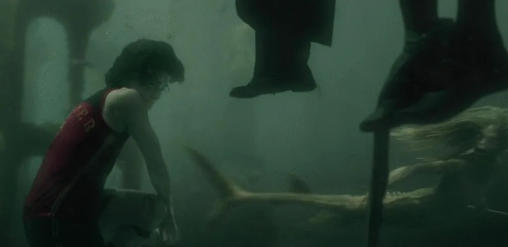 Harry trying to save more than one friend under the water of the Black Lake.