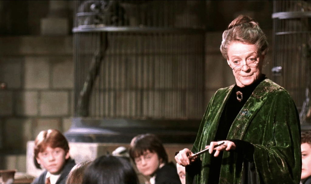 McGonagall telling the class about the Chamber of Secrets.
