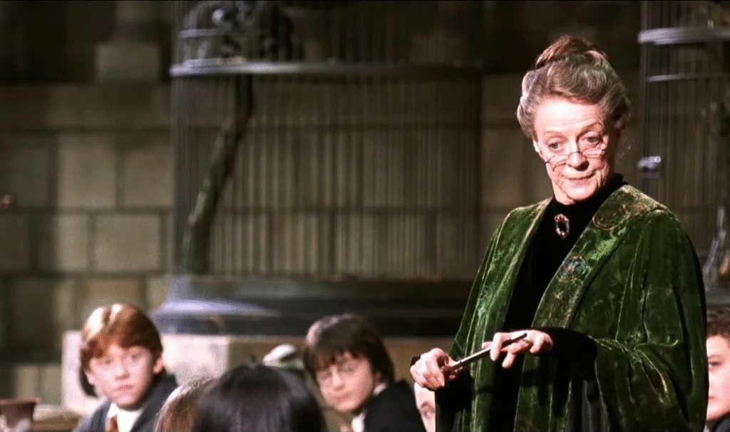 McGonagall telling the class about the Chamber of Secrets.