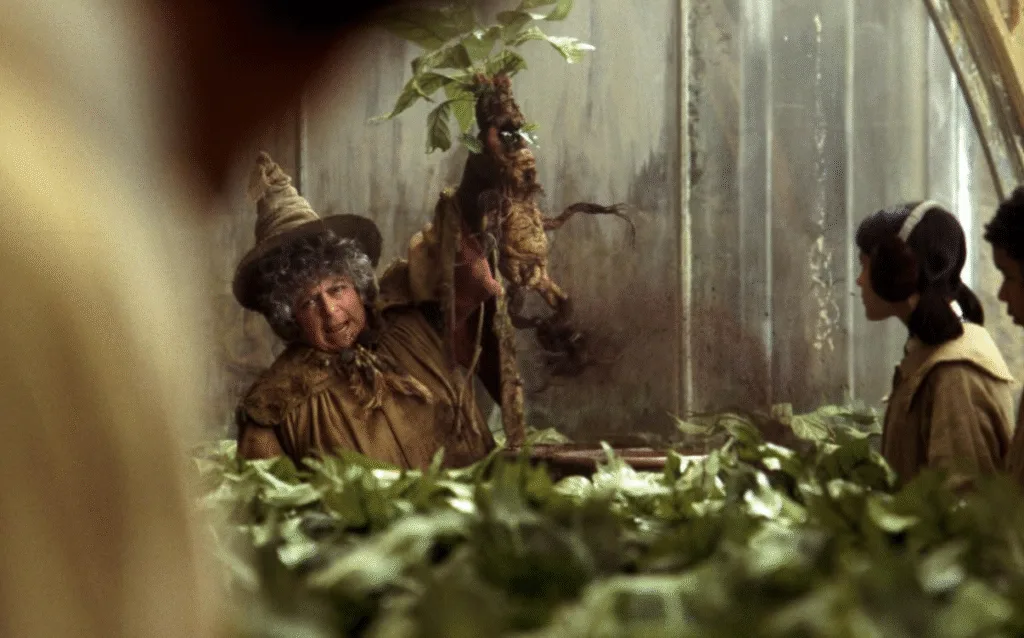 Professor Sprout pulling a mandrake.