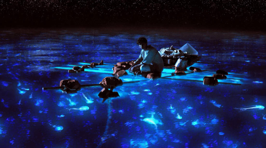 Pi on the water amongst the plankton.